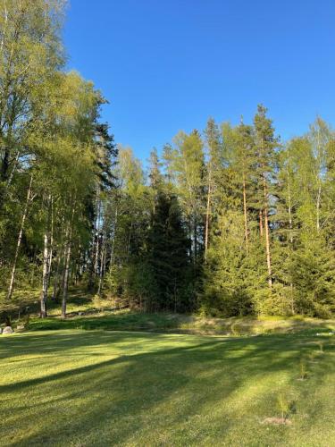 een weelderig groen veld met bomen op de achtergrond bij Emakaru Puhkemaja in Otepää