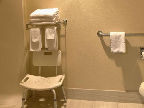 a bathroom with a towel rack and a toilet at Quality Inn & Suites Brooks Louisville South in Brooks