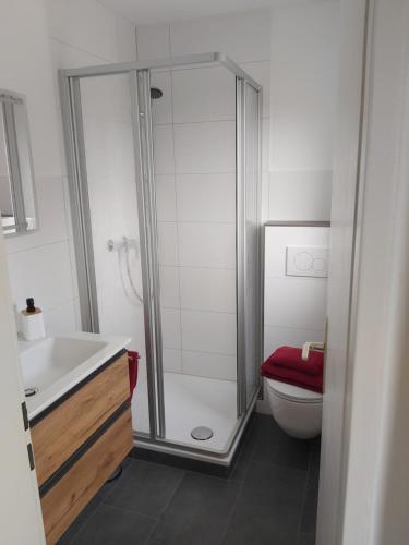 a bathroom with a shower and a toilet at Ferienwohnung Weyl in Eschbach
