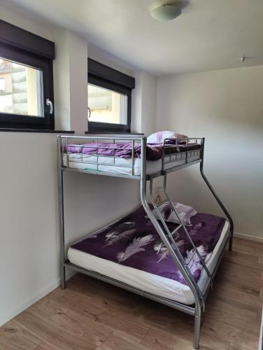 Cette chambre dispose de lits superposés et d'une fenêtre. dans l'établissement Le Purple, appartement de standing en hypercentre, à Sarreguemines