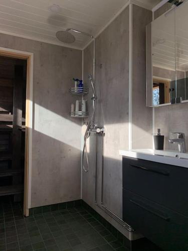 een badkamer met een douche en een wastafel bij Talo Pyhä-Häkin kansallispuiston kupeessa in Saarijärvi