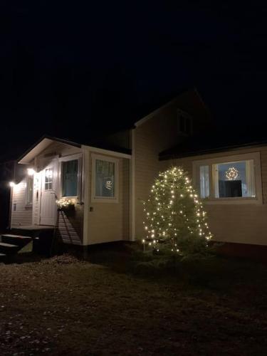 een kerstboom voor een huis 's nachts bij Talo Pyhä-Häkin kansallispuiston kupeessa in Saarijärvi