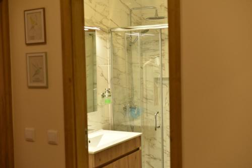 a bathroom with a shower and a sink and a mirror at CASA DA `VÓ MICAS in Cardeal