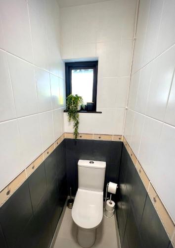 a bathroom with a toilet with a window and a plant at Fairways Villa Newcastle in Newcastle