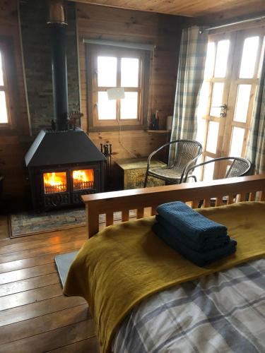 a bedroom with a bed and a fireplace in a room at Bryn Fach Log Cabin in Merthyr Cynog