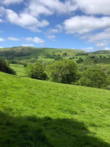 a grassy hill with trees in a green field at Bryn Fach Log Cabin in Merthyr Cynog