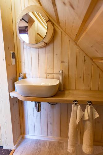 a bathroom with a sink and a mirror at Chocholowska Zohylina pokoje in Chochołów
