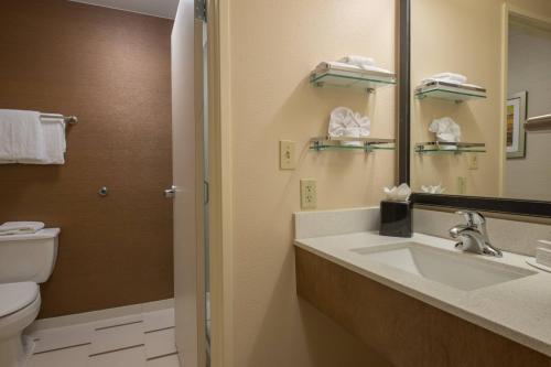 La salle de bains est pourvue d'un lavabo, de toilettes et d'un miroir. dans l'établissement Fairfield Inn & Suites Dallas Lewisville, à Lewisville