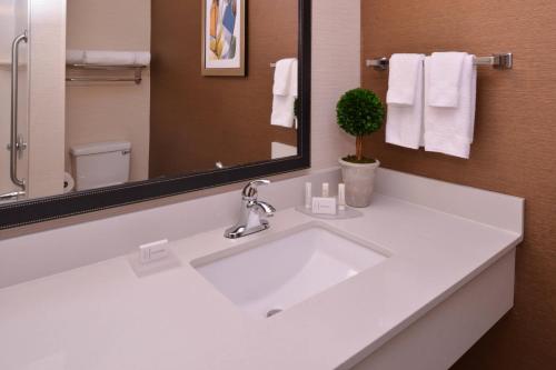 ein Badezimmer mit einem weißen Waschbecken und einem Spiegel in der Unterkunft Fairfield Inn & Suites by Marriott Anderson Clemson in Anderson