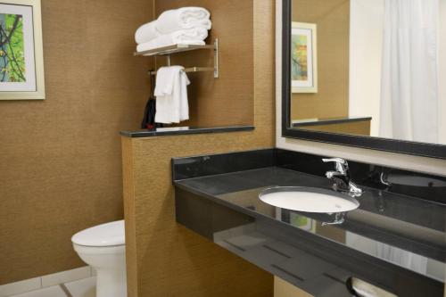 a bathroom with a sink and a toilet and a mirror at Fairfield Inn and Suites Canton South in Canton