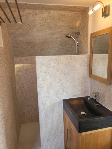 ein Bad mit einem Waschbecken und einer Dusche in der Unterkunft Angers Green Lodge - Yellow Sun Appartement in Angers
