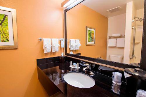 a bathroom with a sink and a mirror at Fairfield Inn and Suites Charleston North/University Area in Charleston
