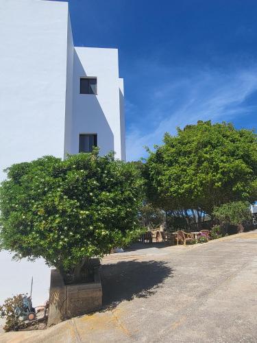 a white building with a tree in front of it at Apartamentos Mar Bella in Es Cana