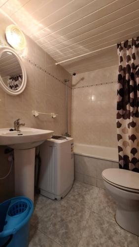 La salle de bains est pourvue d'un lavabo et de toilettes. dans l'établissement Apartamento Holanda, à Lloret de Mar