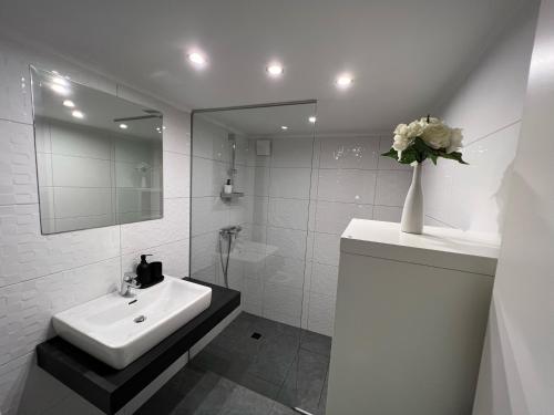 uma casa de banho branca com um lavatório e um espelho em Absolutum Apartments em Ljubljana