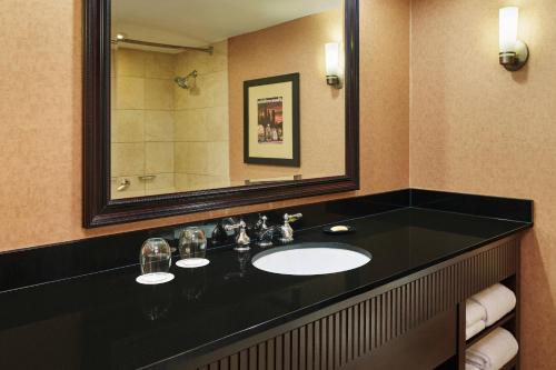 a bathroom with a sink and a mirror at Sheraton Lisle Naperville Hotel in Lisle