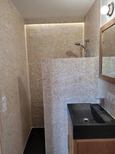 La salle de bains est pourvue d'un lavabo et d'une douche avec un miroir. dans l'établissement Angers Green Lodge, à Angers