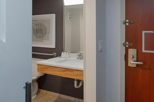 a bathroom with a sink and a mirror at Courtyard by Marriott Springfield Downtown in Springfield