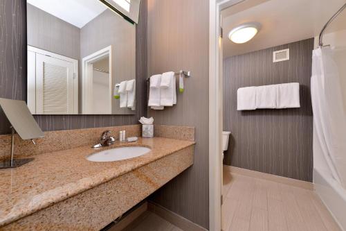 a bathroom with a sink and a mirror at Courtyard by Marriott Dallas Northwest in Dallas