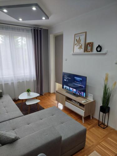 uma sala de estar com um sofá e uma televisão de ecrã plano em Smiley - Subotica Centar em Subotica