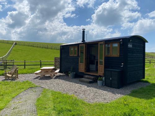 a black tiny house in a field with a picnic table at Silver Fern Glamping in Aberystwyth