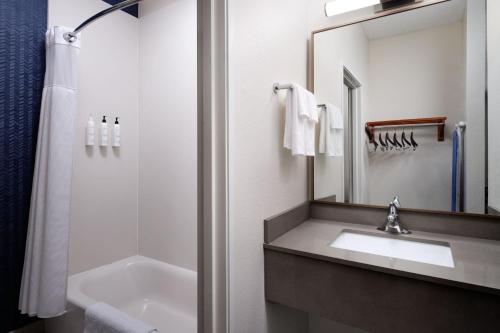 ein Bad mit einem Waschbecken, einem Spiegel und einer Dusche in der Unterkunft Fairfield Inn and Suites Austin South in Austin
