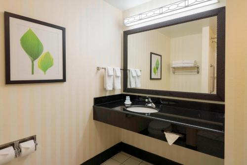 a bathroom with a sink and a mirror at Fairfield Inn & Suites Huntingdon Raystown Lake in Huntingdon