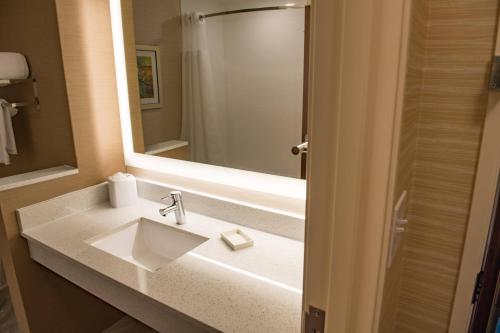 y baño con lavabo y espejo. en Fairfield Inn & Suites by Marriott Anderson, en Anderson