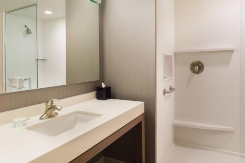 a bathroom with a sink and a mirror at Courtyard by Marriott Elmira Horseheads in Horseheads