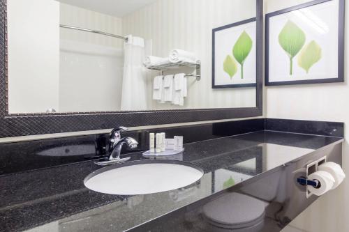 a bathroom with a sink and a mirror and a toilet at Fairfield Inn & Suites Canton in North Canton