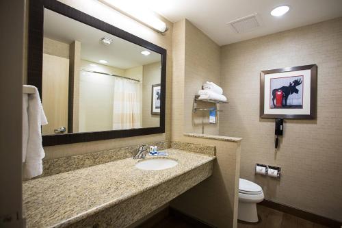 a bathroom with a sink and a toilet and a mirror at Fairfield Inn & Suites by Marriott Moscow in Moscow