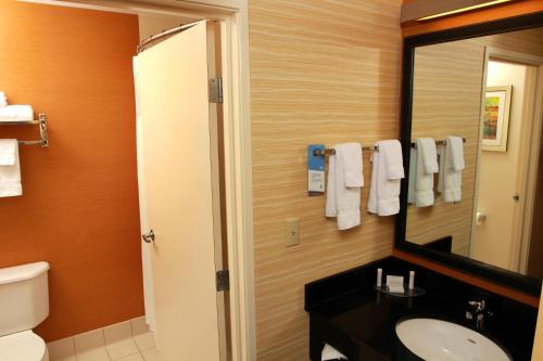 a bathroom with a sink and a mirror and a toilet at Fairfield Inn & Suites Traverse City in Traverse City