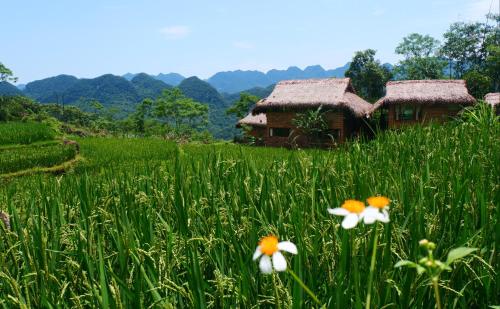 a field with flowers in front of a house at Pu Luong Jungle Lodge in Pu Luong