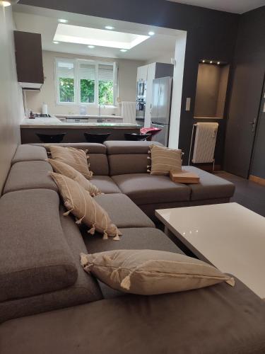 a living room with a couch with pillows on it at Chambre privé dans une maison avec terrasse et jardin salles de bain partagées in Lille
