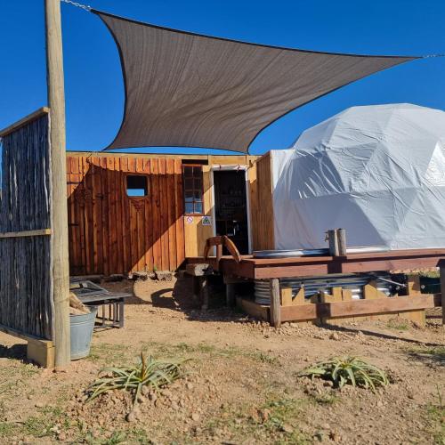 a yurt in the middle of a field at Pom Gratz - EcoDomes in Hartebeest Rivier