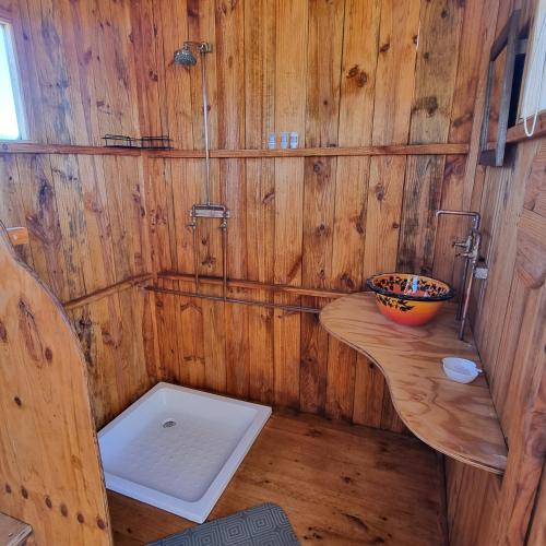 a wooden bathroom with a shower and a bowl at Pom Gratz - EcoDomes in Hartebeest Rivier