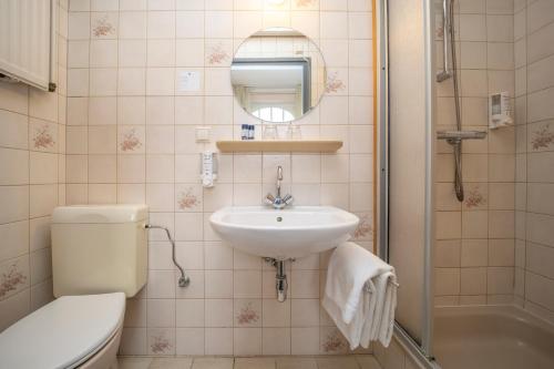 a bathroom with a sink and a toilet and a mirror at Fletcher Hotel Restaurant De Geulvallei in Valkenburg