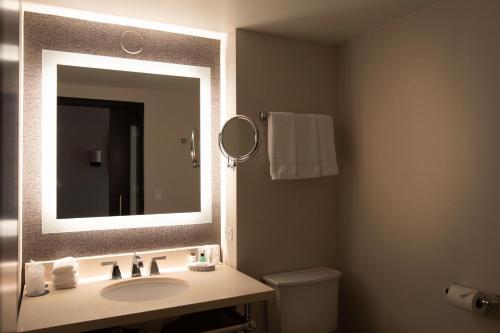 a bathroom with a sink and a mirror at Sheraton Chicago Northbrook in Northbrook