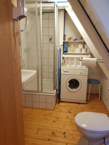 a bathroom with a toilet and a shower and a washing machine at Ferienhaus Brungers in Südbrookmerland