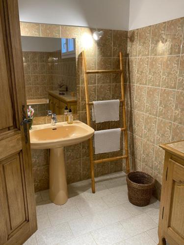 a bathroom with a sink and a shower at Mas des Oliviers in Martigues