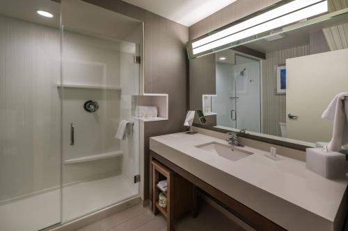 a bathroom with a sink and a shower and a mirror at Courtyard by Marriott Reno Downtown/Riverfront in Reno