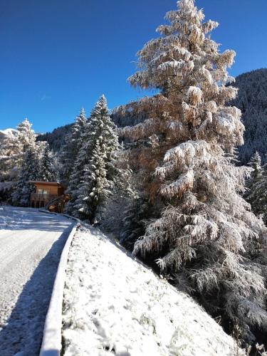 a snow covered christmas tree on a snow covered road at Eco-Green Fiores Agriturismo in Vigo di Fassa
