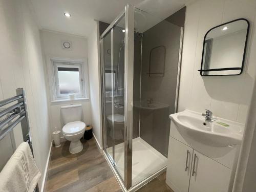 a bathroom with a shower and a toilet and a sink at Martindale & Fusedale Lodge in Penrith