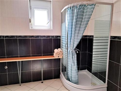 a shower with a blue shower curtain in a bathroom at Montenegro Smile in Dobra Voda