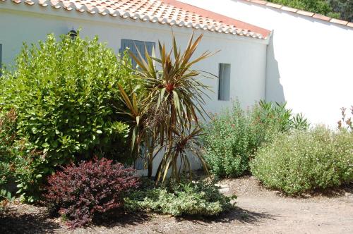 a garden of plants in front of a house at Le Parc des Mimosas in Noirmoutier-en-l'lle