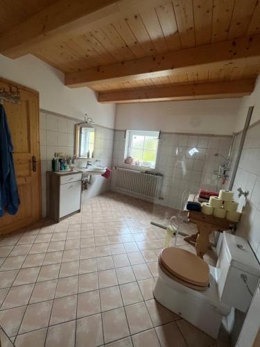 ein Bad mit einem WC und einem Waschbecken in der Unterkunft Almhütte Möschbauer Nähe Redbull Ring in Rottenmann