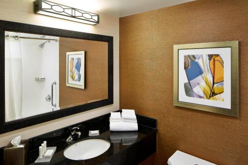 Webster的住宿－東羅徹斯特費爾菲爾德萬豪酒店，一间带水槽和镜子的浴室