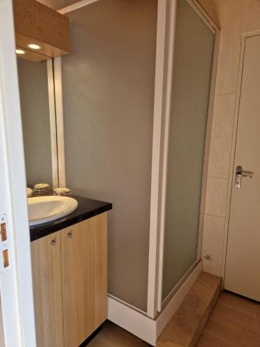 une salle de bain avec un lavabo et un miroir dans l'établissement Gîte Pauline, à Saint-Martial-de-Valette