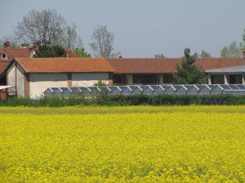 a field of yellow flowers in front of a building at Al Casale B&B in Cherasco