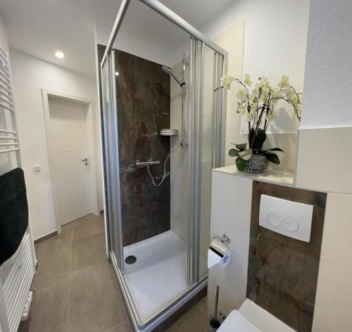 a shower with a glass door in a bathroom at Ferienwohnung Zimmermann in Bad Schandau